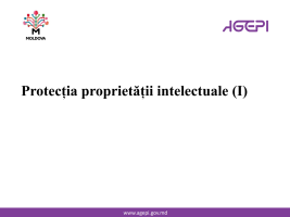 Protecția proprietății intelectuale